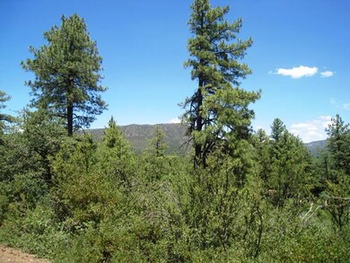 27 Pine View Dr, Pine, AZ 85544 - photo 2