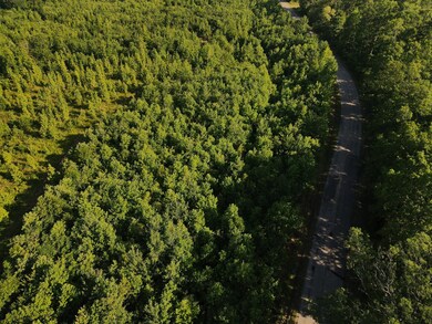 0 Old Highway 18 unit RTC2558184, Stewart, TN 37175 - photo 4