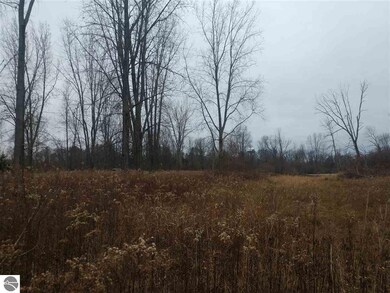 N/A W Mill St, Oscoda, MI 48750 - photo 2