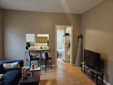 255 N Spring St unit 4, Elgin, IL 60120 - photo 5