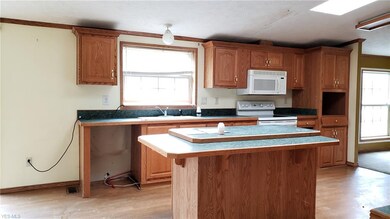 3650 N County Line Rd, Geneva, OH 44041 - photo 7