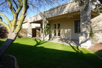 Back patio