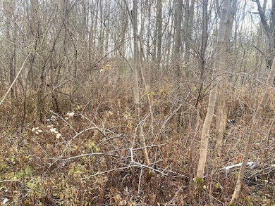 County Road 15, Fillmore, NY 14836 - photo 7