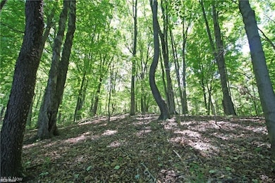 0 Clingan Rd unit 4461196, Youngstown, OH 44514 - photo 3