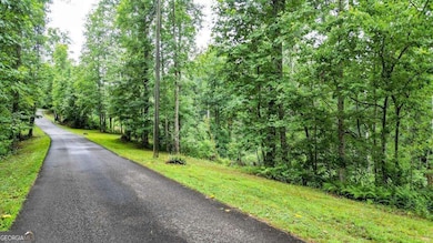 1267 Hicks Ford Rd, Ellijay, GA 30540 - photo 5