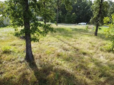 50 Hidden Oaks Dr, Point Blank, TX 77364 - photo 4