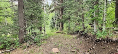 454 Mccoy Creek Dr, Durango, CO 81301 - photo 7