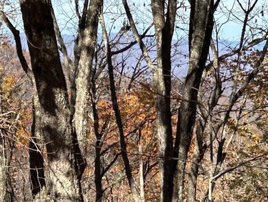 unlisted-address, Whittier, NC 28789 - photo 2