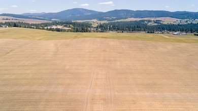 13507 E Gibbs Rd, Valleyford, WA 99023 - photo 4