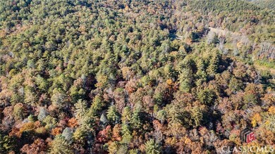 0 Wilderness End NW unit CM1022226, Clarkesville, GA 30523 - photo 4