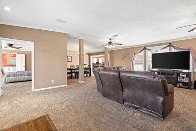 Living room with carpet flooring, visible vents, c