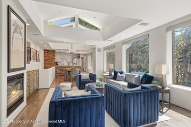 450 S Original St unit 5&10, Aspen, CO 81611 - photo 3