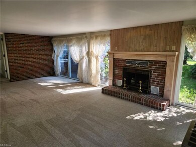 Sun Room with Fireplace & New Carpet