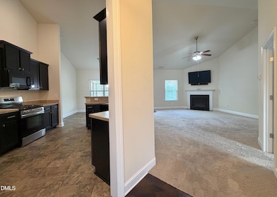 15 Cedar Falls Way, Angier, NC 27501 - photo 4