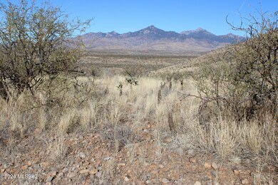 IMG_0550