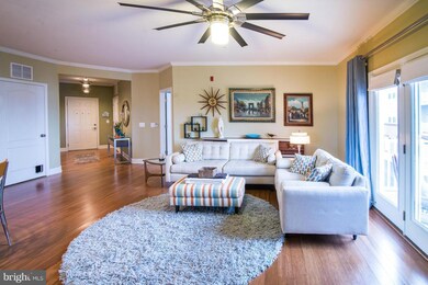 24636 Woolly Mammoth Terrace unit 200, Aldie, VA 20105 - photo 7