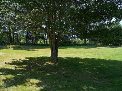 Yard/Garden. Back Yard. Tons of Space.