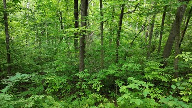 1764 Highway 63, Turtle Lake, WI 54889 - photo 6