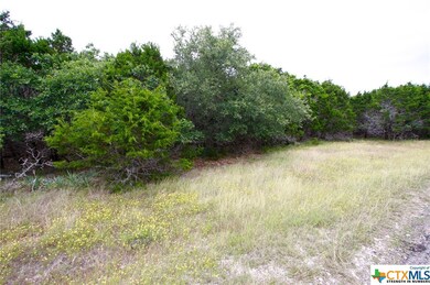 15746 Salado Dr, Temple, TX 76502 - photo 2