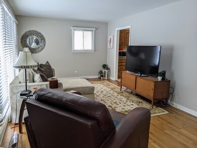 462 N Emery Ln, Elmhurst, IL 60126 - photo 2