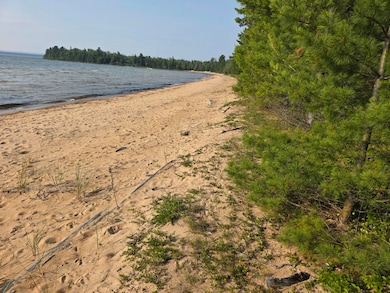 4680 S Pineshore Row, Brimley/Bay Mills, MI 49715 - photo 6