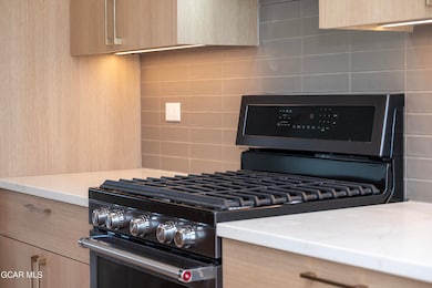 144 Clayton Ct unit 2, Fraser, CO 80442 - photo 7