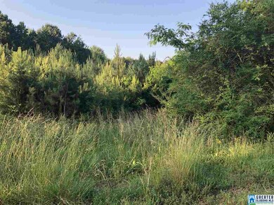 1030 Doss Dr unit SW COR SW 1/4, Morris, AL 35116 - photo 2