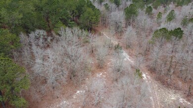 DJI_0565