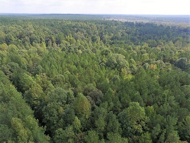 0 Beagle Run Ln, Red Oak, VA 23821 - photo 3