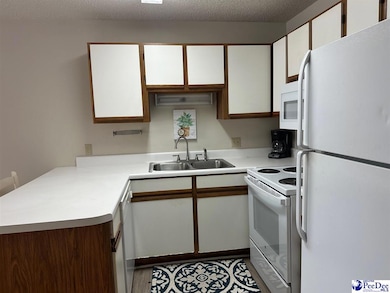 419 S Coit St, Florence, SC 29501 - photo 4