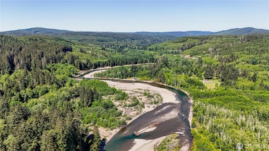 99994 Dowan Creek Rd, Forks, WA 98331 - photo 3