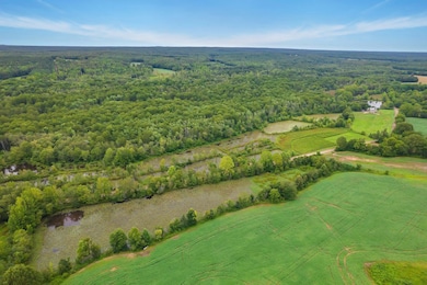 Aerial view with a forest view