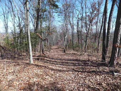 Appleview Way unit Newport TN 37821, Newport, TN 37713 - photo 7