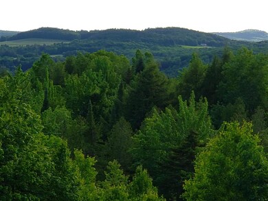 1601 Duck Pond Rd, Barton, VT 05822 - photo 3