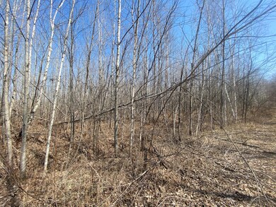 ON Up River Rd, Phillips, WI 54555 - photo 3