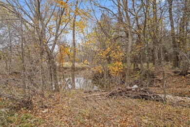 635 Chisholm Hills Dr, Rhome, TX 76078 - photo 3