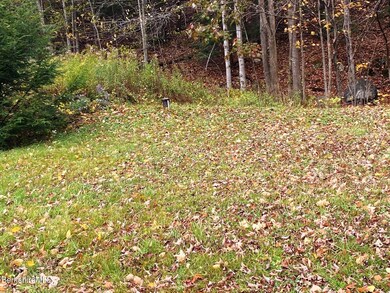 side yard