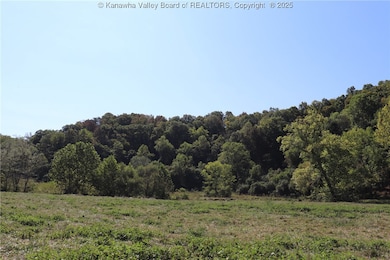 0 16 Mile Rd unit 277782, Apple Grove, WV 25187 - photo 3