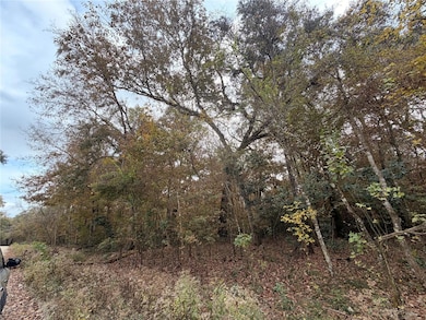 Lot 11 284th Terrace, Branford, FL 32008 - photo 5