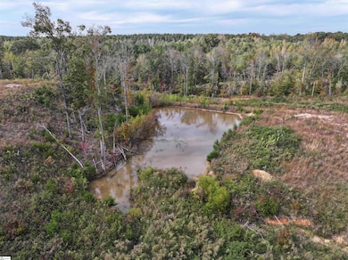 192 Putman Rd, Buffalo, SC 29321 - photo 6