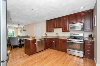 10 Cunningham Ln unit 205, Billerica, MA 01821 - photo 4