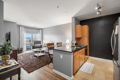 4 Repton Cir unit 4311, Watertown, MA 02472 - photo 2