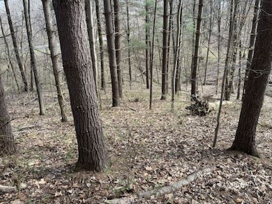 Wooded property