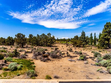 2. Lot 181, Pronghorn-13