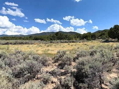 Mc Caskill Rd, Fort Garland, CO 81133 - photo 4