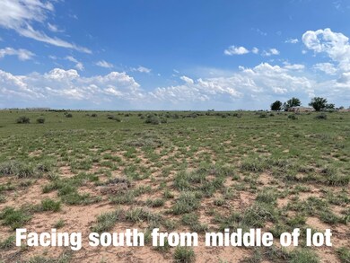 0 Clara Ln, McIntosh, NM 87016 - photo 4