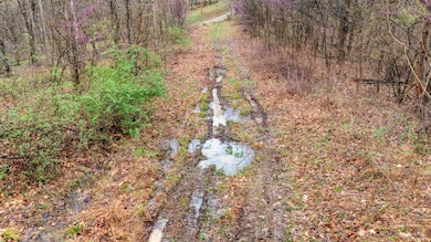 Drone Road 4