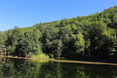 189 Crane Mountain Rd, Johnsburg, NY 12843 - photo 7