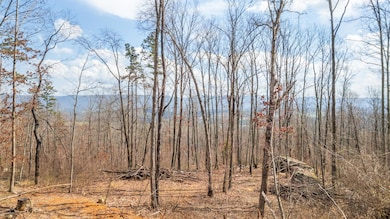 0 Lee Station Mountain Rd, Pikeville, TN 37367 - photo 3