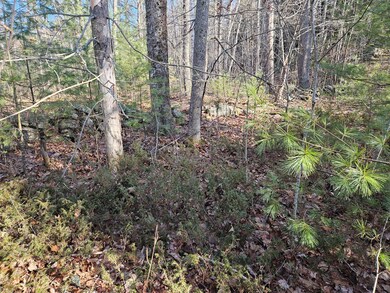 10-29.1 River Rd, Dresden, ME 04342 - photo 6